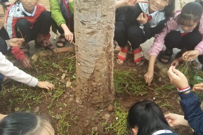 NGÀY CHỦ NHẬT XANH – TRƯỜNG EM XANH SẠCH ĐẸP